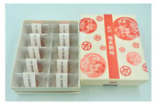 M449　【岩谷】紀州　梅真鯛梅　十個入　３セット