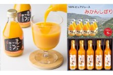M507　【定期便】　みかんジュース飲み比べ（１）