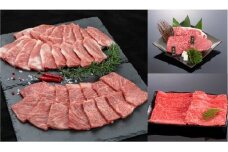 M520　【定期便】　熊野牛定期便②（株式会社MeatFactory）
