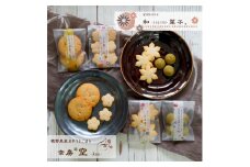 M119　紀州わかやま　和ーｎａｇｏｍｉー菓子