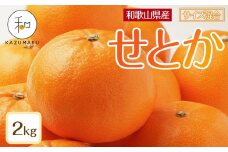 森本農園の手選別 せとか 約2kg 和歌山県産 サイズ混合 ［北海道・沖縄・離島配送不可］［2026年2月上旬から順次発送予定］［RN129］