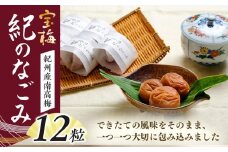 お取り寄せに大人気！紀州南高梅 宝梅紀のなごみ12粒