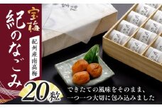 お取り寄せに大人気！紀州南高梅 宝梅紀のなごみ20粒