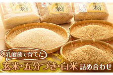 乳酸菌で育てた（玄米、五分づき、白米）詰め合わせ