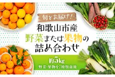 旬をお届け！和歌山市産・野菜または果物の詰め合わせ