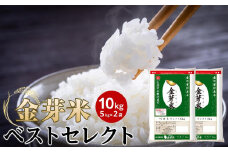 金芽米 ベストセレクト 10kg 5kg×2 【 BG無洗米 無洗米 東洋ライス お米 米 コメ 和歌山県 和歌山市 CQ25-NT 】