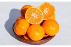 ［先行予約］和歌山県産 みかん 秀品 箱込約5kg（約4.1kg＋保証分500g）