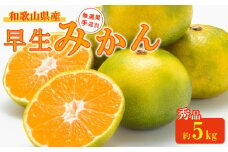 ◆先行予約◆【2023年11月上旬以降出荷】口の中に広がる酸味と甘み！無選果・手選別のこだわり早生みかん 約5kg　赤秀