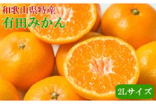 [秀品]和歌山有田みかん約6kg(2Lサイズ)★2025年11月中旬頃より順次発送【TM84】