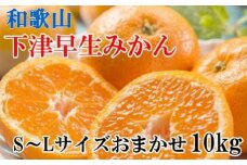【産直】下津早生みかん約10kg(S～Lサイズおまかせ)