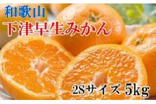 ※在庫切れ※【産直】下津の早生みかん約5kg（2Sサイズ）