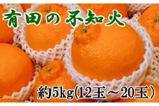  ［濃厚］有田の不知火約5kg（12～20玉）★2026年2月中旬頃より順次発送［TM33］