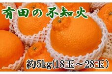 ［濃厚］有田の不知火約5kg（18～28玉）★2026年2月中旬頃より順次発送［TM35］