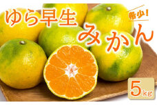 ◆先行予約◆甘酸っぱくて女性に大人気の希少なゆら早生YN-26みかん 約5kg／赤秀【2023年9月中旬以降出荷】