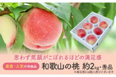 ［産直・人気の特産品］和歌山の桃　約2kg・秀選品★2025年6月下旬～8月中旬頃順次発送★［TM167］