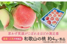 【産直・人気の特産品】和歌山の桃　約4kg・秀選品★2025年6月下旬～8月中旬頃順次発送★【TM168】