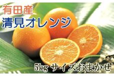 ［濃厚］有田産清見オレンジ約5kg（サイズおまかせ・青秀以上）★2026年2月下旬頃より順次発送［TM43］
