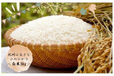 令和6年産 新米 ふるさと紀州産ひのひかり 白米5kg