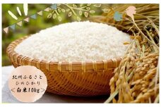 令和5年産 新米 ふるさと紀州産ひのひかり 白米10kg