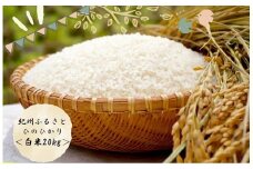 令和6年産 新米 ふるさと紀州産ひのひかり 白米20kg（10kg×2）
