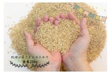 令和6年産 新米 ふるさと紀州産ひのひかり 玄米20kg（10kg×2）