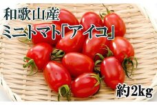 ［2026年6月出荷分］和歌山産ミニトマト「アイコトマト」約2kg（S・Mサイズおまかせ）［TM166］