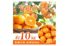 完熟有田みかん　10kg【2025年11月下旬以降発送】【先行予約】【UT11】