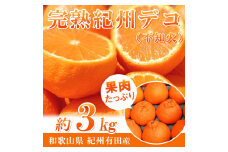 完熟紀州デコ(不知火) 約3kg　果肉プリプリ♪［2026年2月下旬以降発送］［先行予約］［UT42］