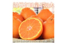 紀州有田産不知火(しらぬひ) 約５kg［2026年2月中旬以降発送］［先行予約］［UT40］
