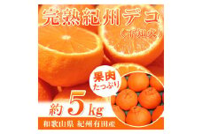 完熟紀州デコ(不知火) 約5kg　果肉プリプリ♪［2026年2月下旬以降発送］［先行予約］［UT43］