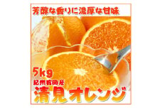 とにかくジューシー清見オレンジ　5kg［2026年3月下旬以降発送］［先行予約］［UT53］