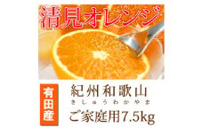 ［ご家庭用訳アリ］紀州有田産清見オレンジ　7.5kg［2026年3月下旬以降発送］［先行予約］［UT54］