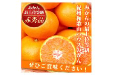 赤秀品 紀州和歌山ハウスみかん 2.5kg［2026年6月末頃～2026年7月中旬頃に順次発送］［UT87］