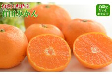 [秀品]和歌山有田みかん約5kg(MまたはLサイズ) ★2025年11月中旬頃より順次発送［TM98］