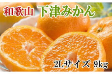 【産直・秀品】和歌山下津みかん約9kg（2Lサイズ）★2025年11月中旬頃より順次発送［TM76］
