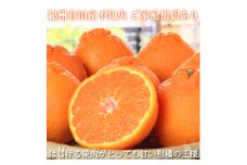 ［ご家庭用訳有り］紀州有田産不知火(しらぬひ) 約8.5kg［2026年2月中旬以降発送］［先行予約］［UT41］