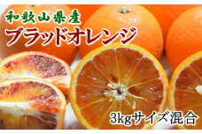 ［希少・高級柑橘］国産濃厚ブラッドオレンジ「タロッコ種」約3kg★2026年4月頃より順次発送予定［TM148］
