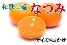 ［希少柑橘］和歌山県産なつみ約5kg（S～2Lサイズおまかせ）★2026年4月頃より順次発送［TM147］