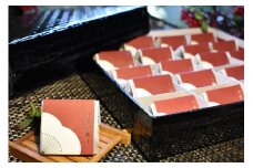高級南高梅うす塩個包装20粒入 紀州塗箱 網代模様仕上 【SW81】