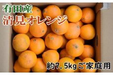 ［濃厚］有田産清見オレンジ約7.5kg(サイズおまかせ、または混合)ご家庭用★2026年2月中旬頃より順次発送［TM46］
