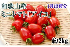 ［2026年1月出荷分］和歌山産ミニトマト「アイコトマト」約2kg（S・Mサイズおまかせ）［TM109］