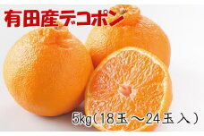 ［お味濃厚］紀州有田産のデコポン約5kg(18玉～24玉入り・青秀以上)★2026年2月中旬頃より順次発送［TM26］