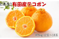 ［お味濃厚］紀州有田産の大玉デコポン約5kg(12玉～18玉入り・青秀以上) ★2026年１月中旬頃より順次発送［TM25］
