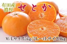 一度は食べていただきたい「有田産のせとか」約4～5kg（サイズおまかせ）★2026年2月中旬頃より順次発送［TM138］