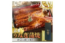 大型サイズ 　ふっくら柔らか国産うなぎ蒲焼き　1尾（約2人前）化粧箱入