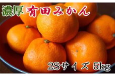[秀品]和歌山有田みかん約5kg(2Sサイズ) ★2025年11月中旬頃より順次発送【TM83】