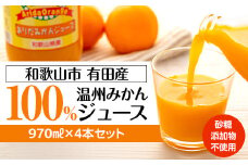 『和歌山市』 有田産100%温州みかんジュース 970ml×4本セット