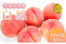 和歌山県産 白鳳 桃 11～15玉入り秀品【2024年6月下旬以降発送】