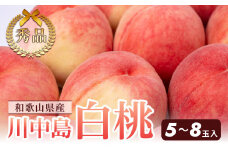 和歌山県産 川中島白桃 5～8玉入り 秀品 先行予約［2025年7月下旬以降発送］［MG7］