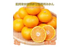 赤秀品　紀州有田産濃厚完熟温州みかん　3kg（ＭサイズまたはＳサイズ）【2025年11月下旬以降発送】【先行予約】【UT12】